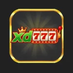 xd777 Game