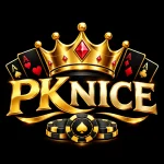 PKNICE Game